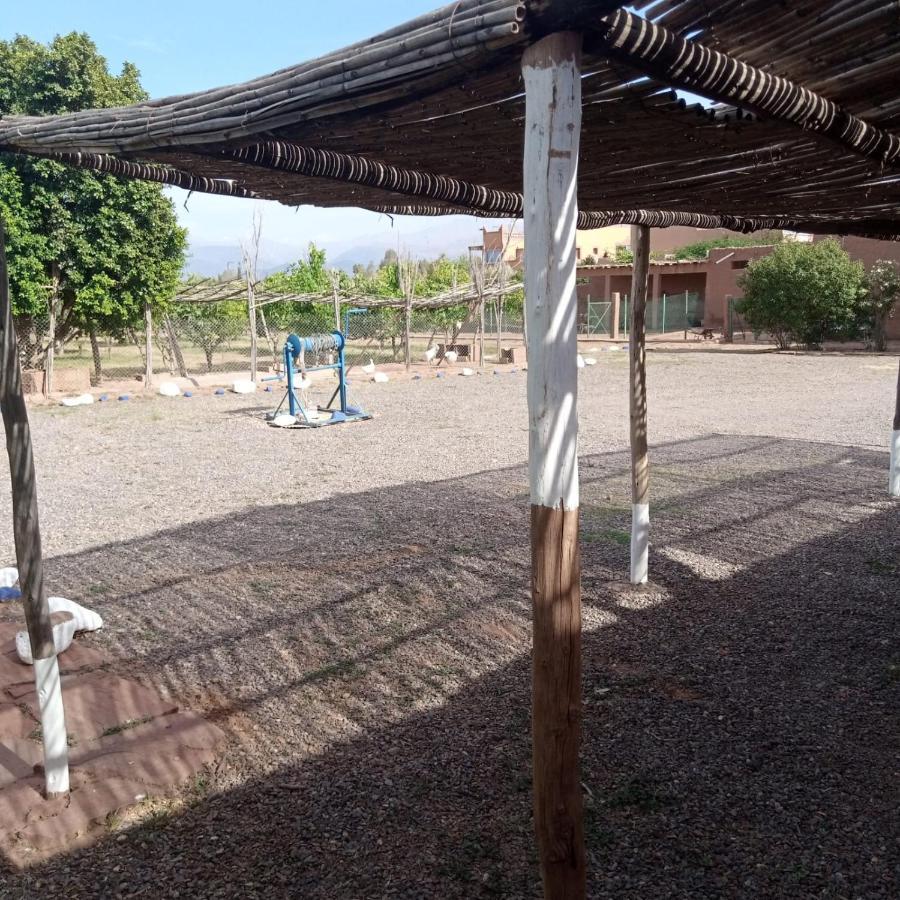 Villa Ferme Berbere Marrákes Kültér fotó